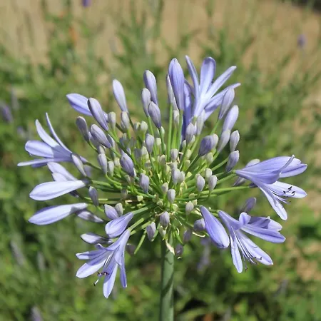 Апартаменты 8121b