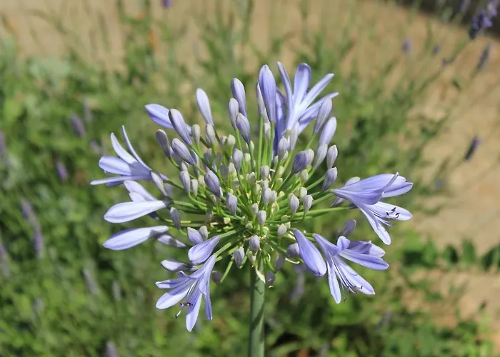 Апартаменты 8121b